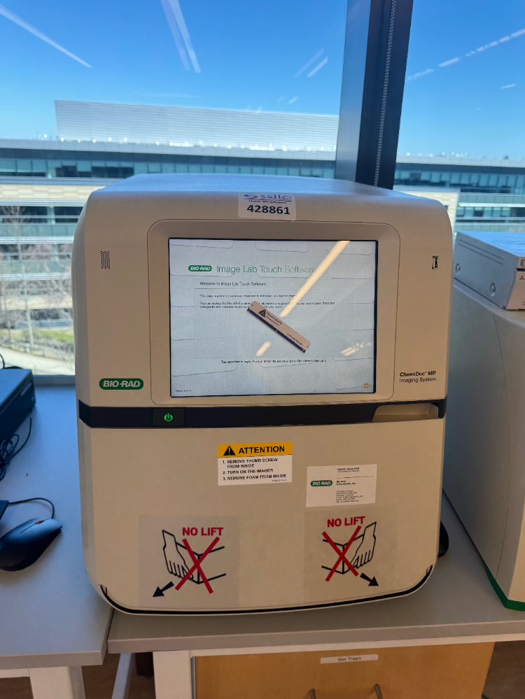 Image of Bio-Rad ChemiDoc MP Imaging System